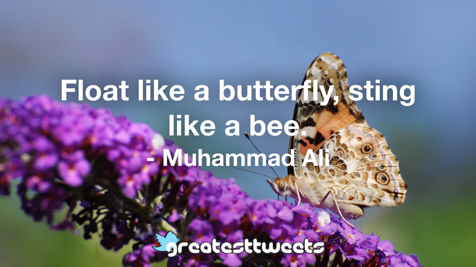 Muhammad Ali Quotes Greatesttweets Com