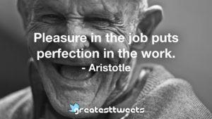 Pleasure in the job puts perfection in the work. - Aristotle