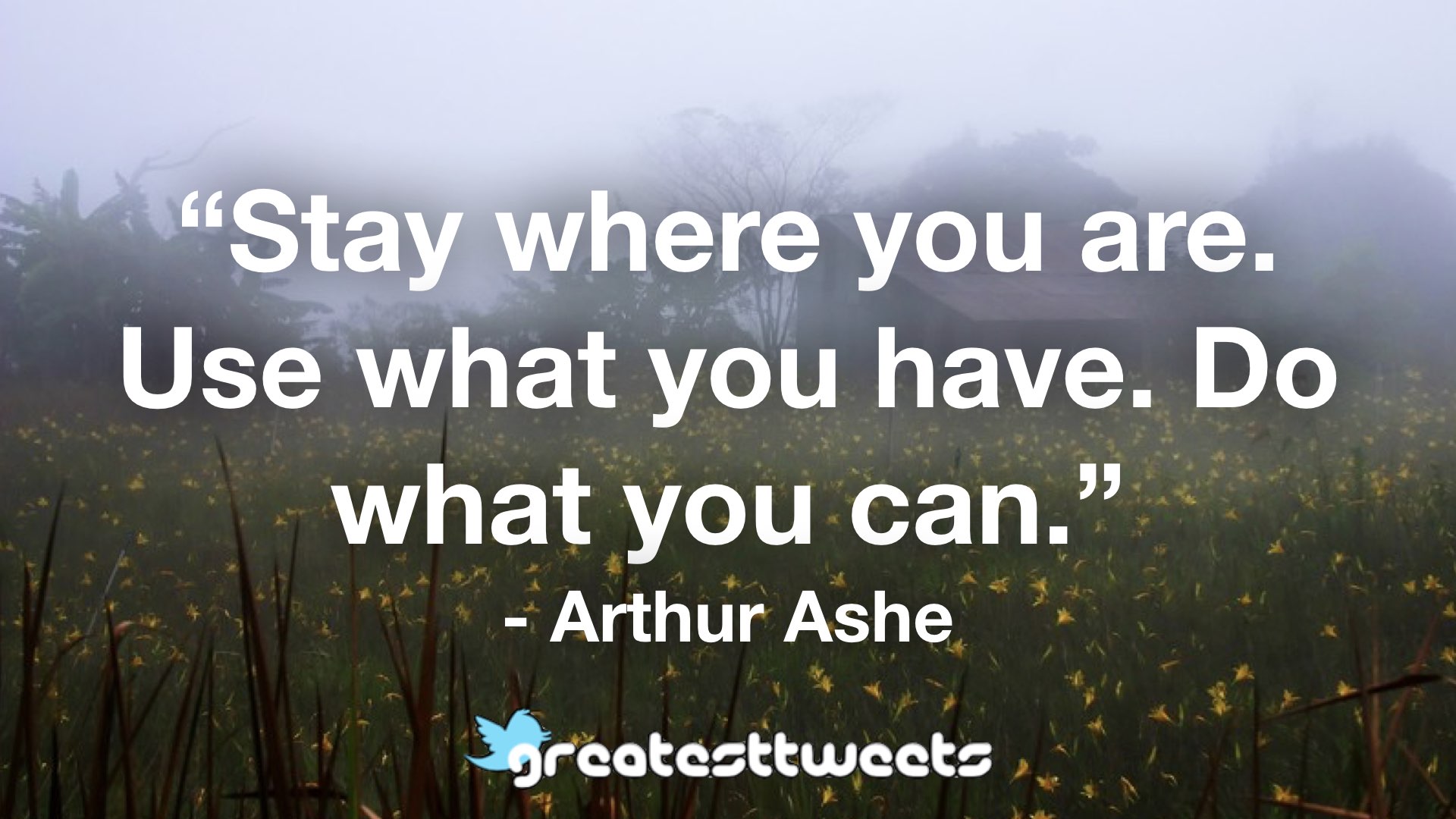 Arthur Ashe Quotes Greatesttweets Com