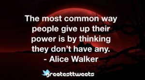 The most common way people give up their power is by thinking they don’t have any. - Alice Walker