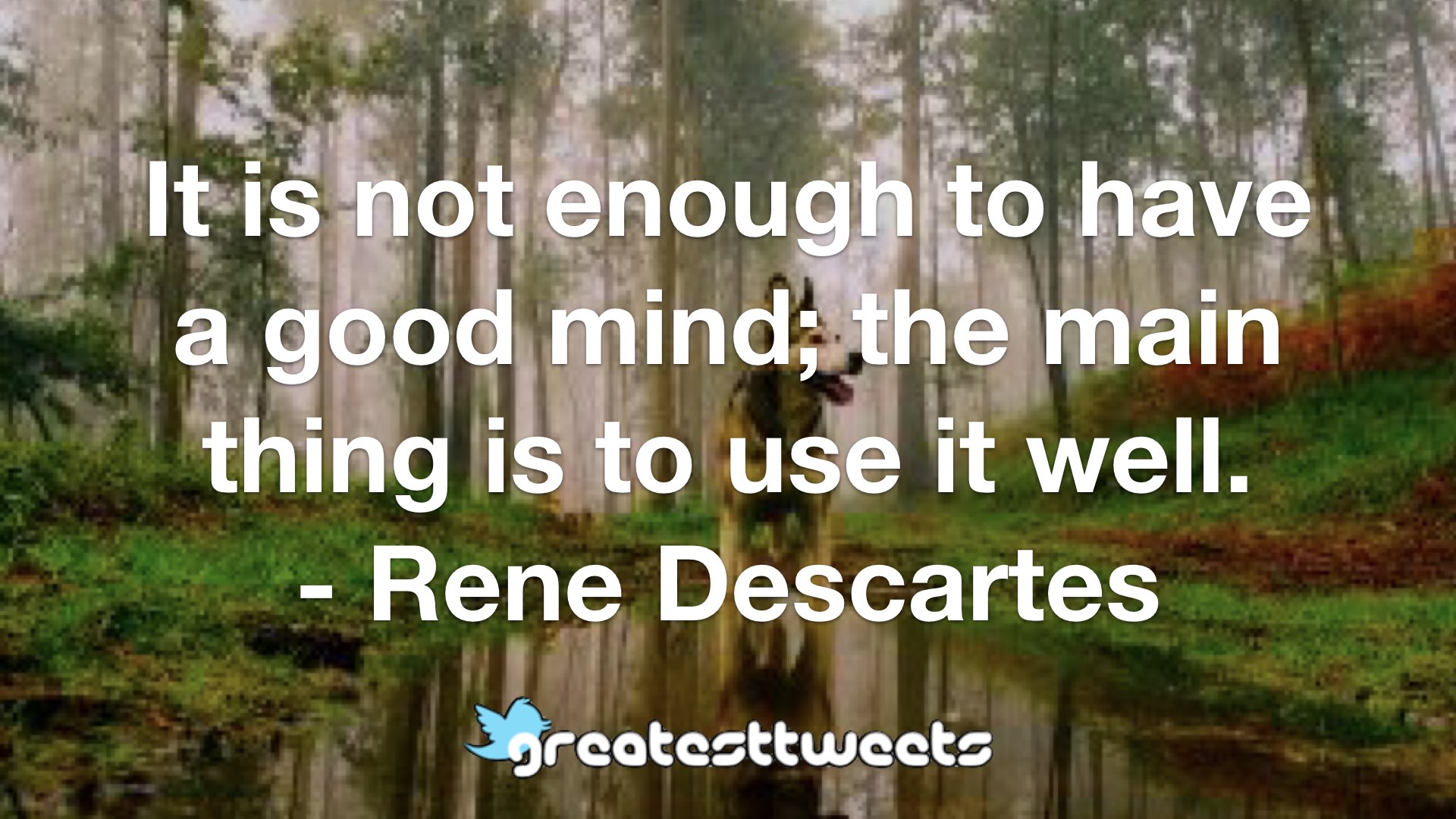 It Is Not Enough To Have A Good Mind; The Main Thing Is To Use It Well ...