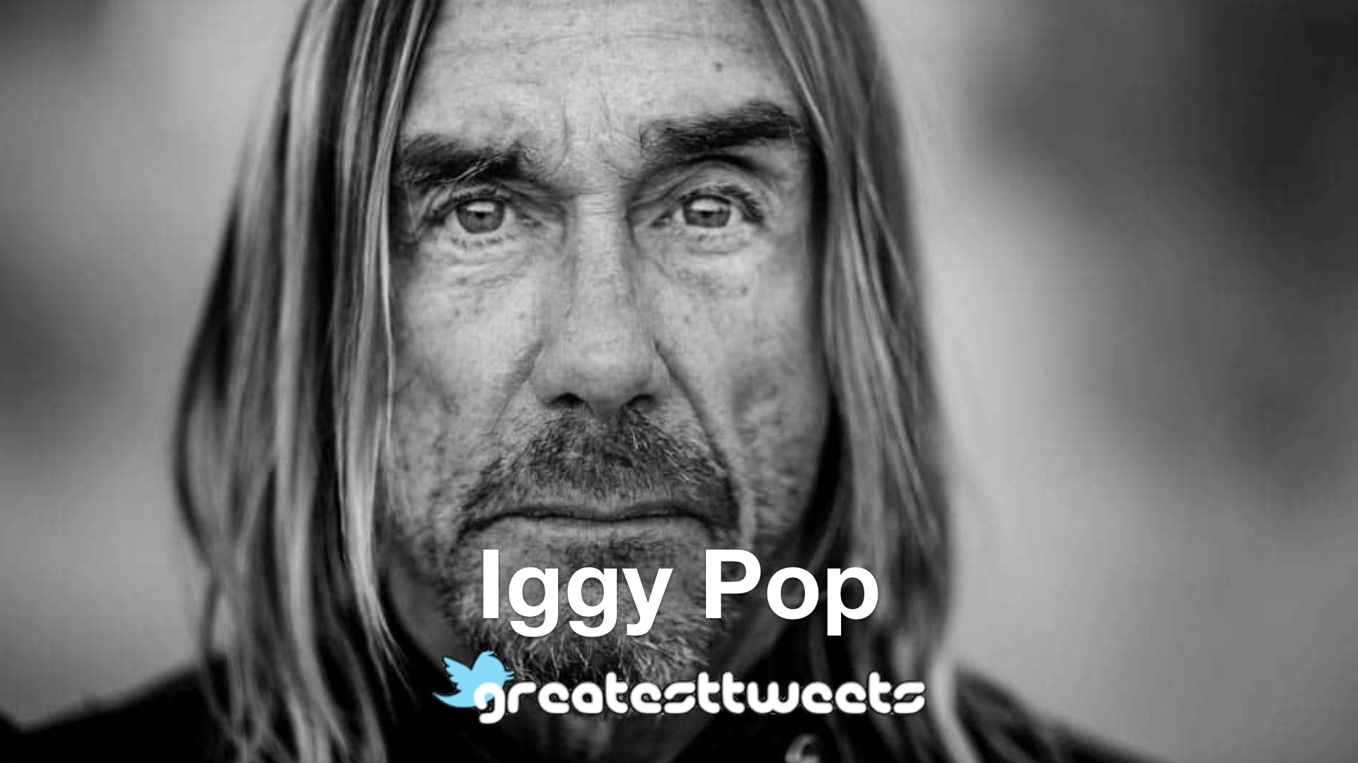 Iggy Pop Biography And Quotes – GreatestTweets.com