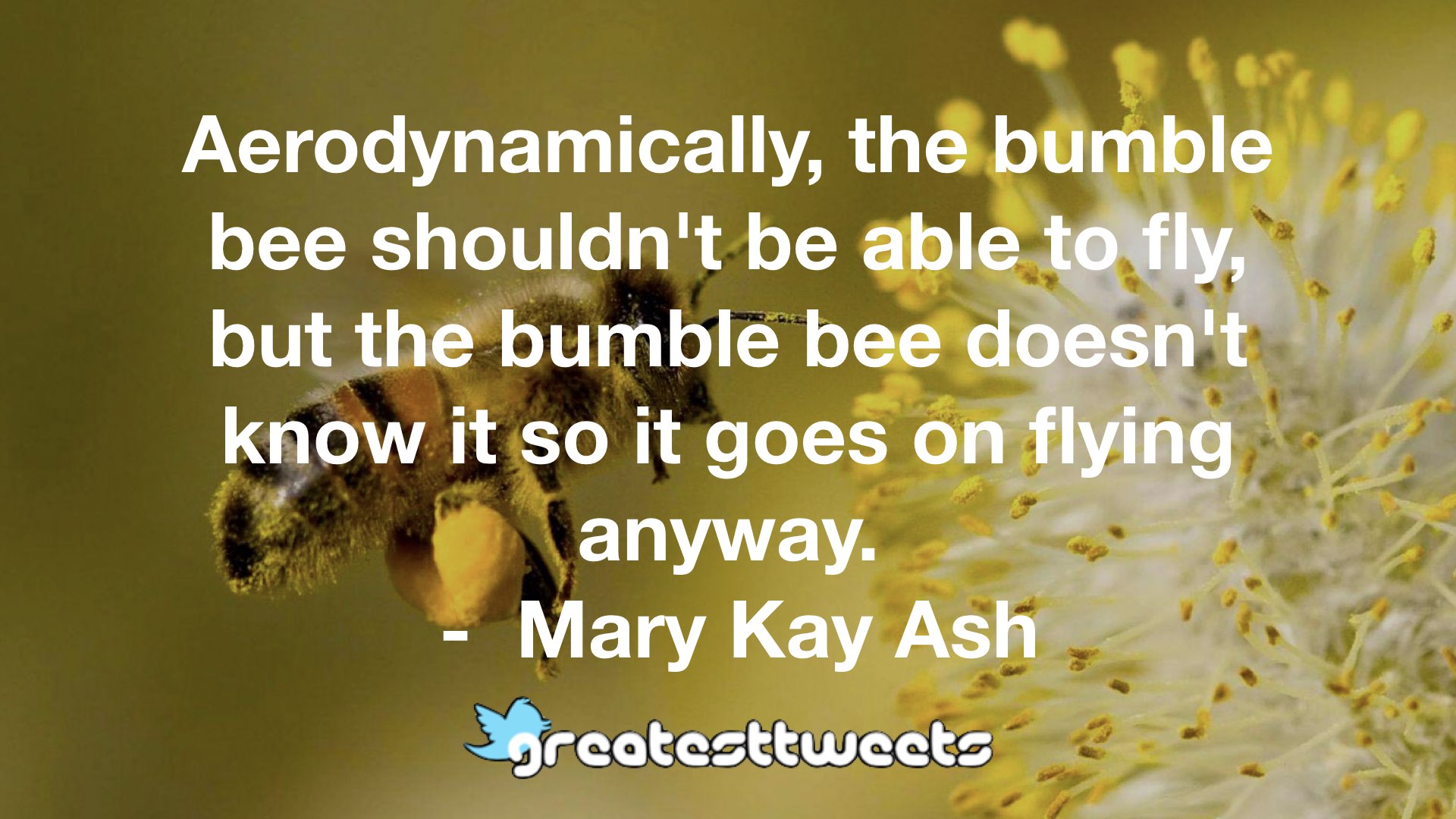 Aerodynamically, the bumble bee shouldn’t be able to fly, but the ...